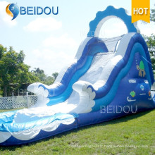 Hot Sale Durable Giant Adult Inflatable Pool Rainbow Water Slide